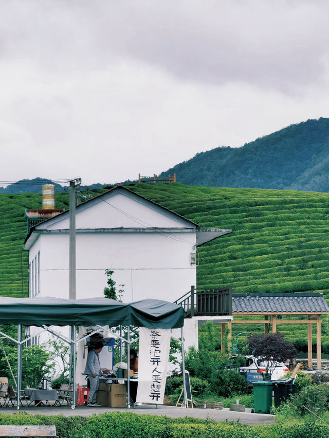 云端神仙的茶園——寒溪村