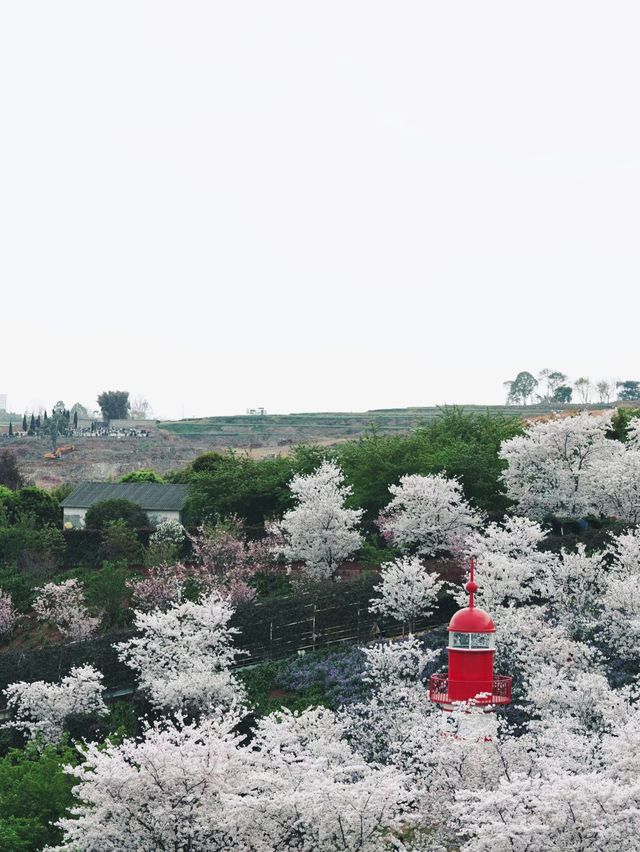 成都漫花莊園 能否滿足你對美的所有幻想？