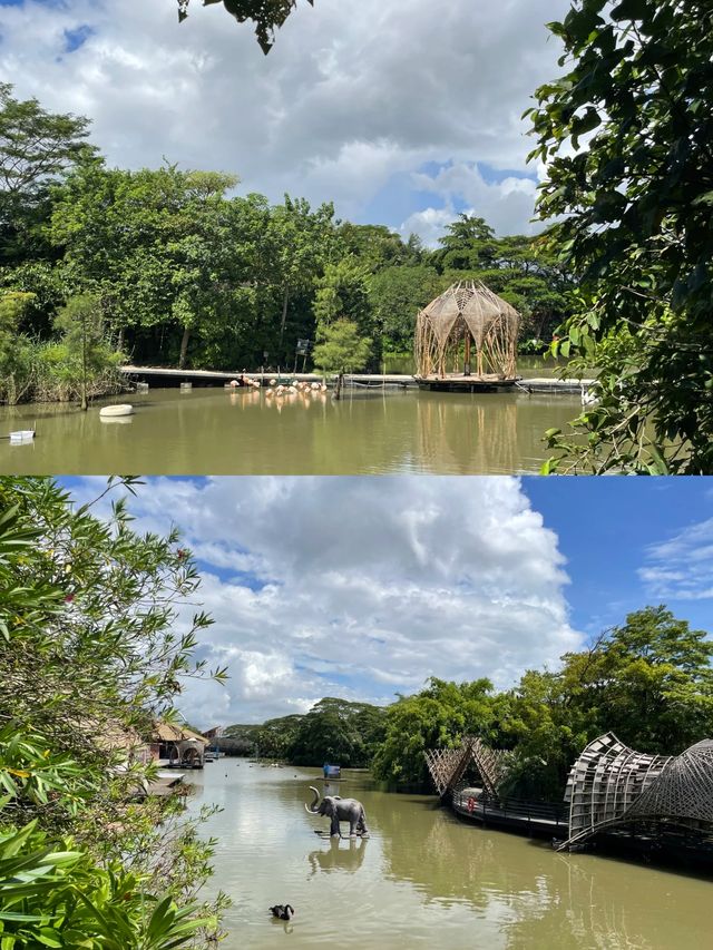 網紅打卡寶藏聖地——南沙水鳥世界樂園