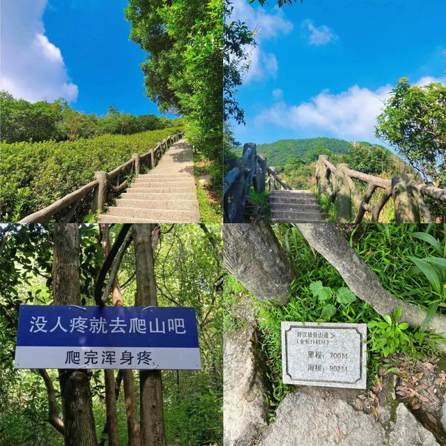 梧桐山的奇幻漂流，我竟然被「山」迷住了！。