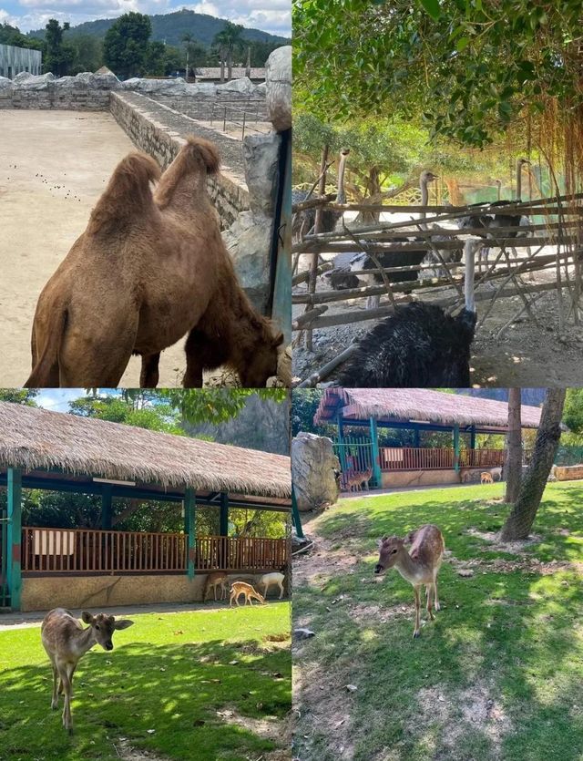 福清永鸿野生動物園~。