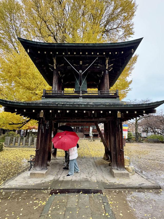 飛驒第一古剎一飛驒國分寺