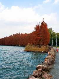 冬日下的蘇州獨墅湖公園