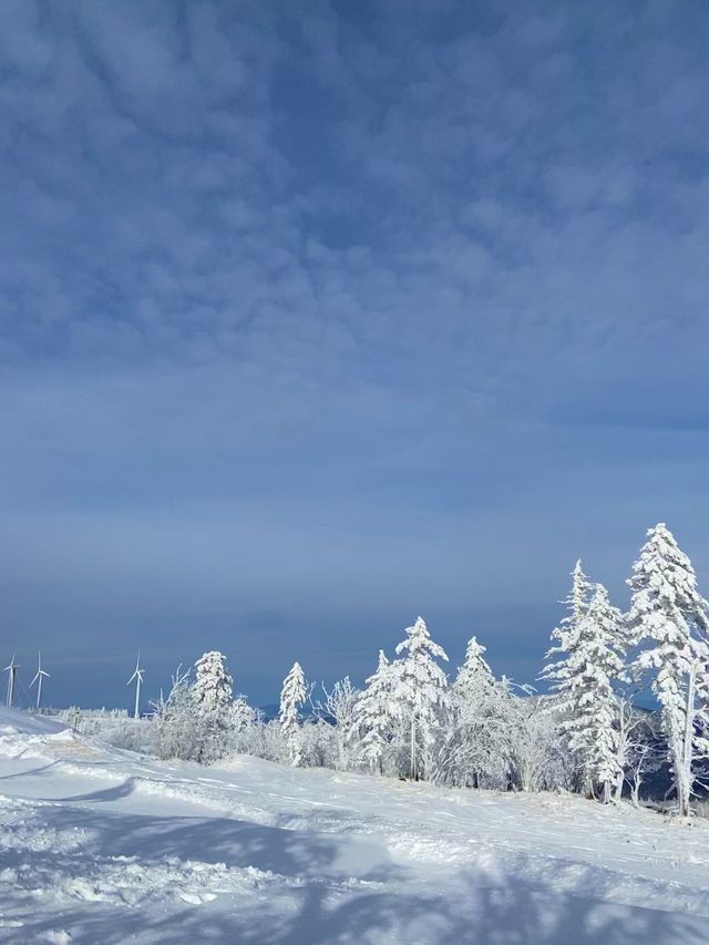 哈爾濱-雪鄉滑雪新手也能變高手的秘訣在此