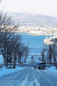 等一個十二月的奇蹟❄️北海道自由行