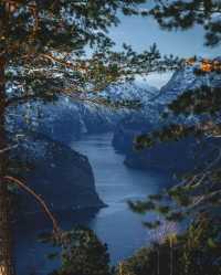 Explore the Majestic Sognefjord in Norway