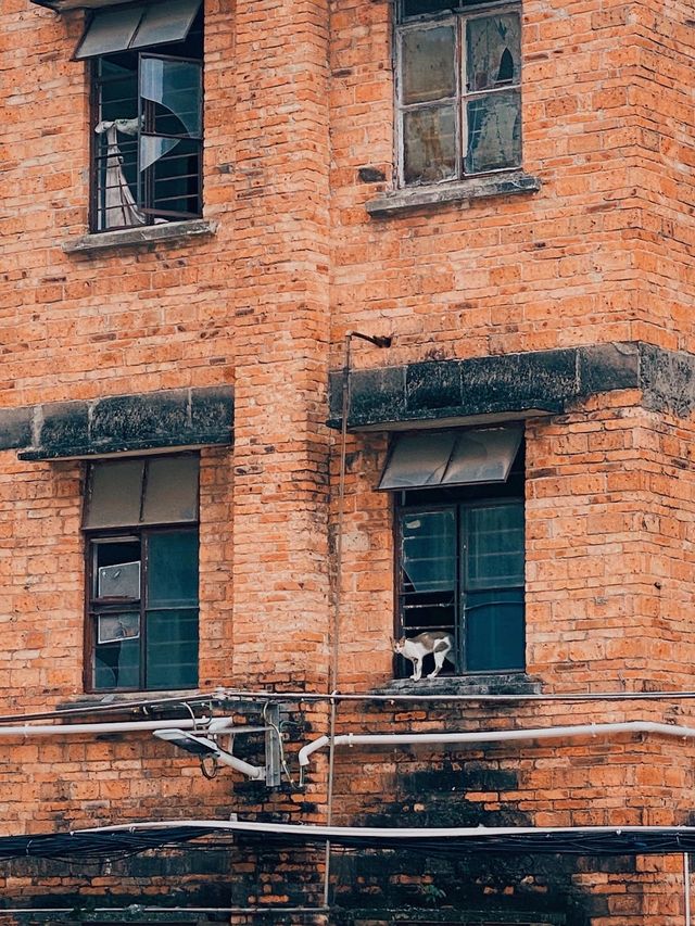 小長假泡溫泉就去日本 別猶豫