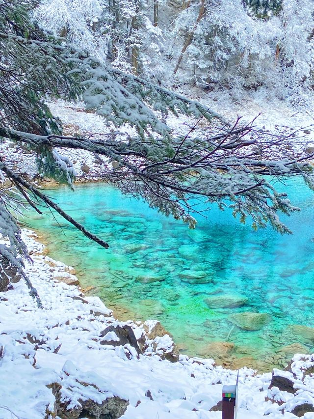 都江堰2日深度遊 玩轉古堰不留遺憾