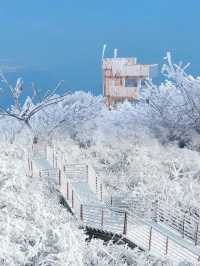 雪後鸬鳥山：杭州近郊的冰雪童話世界