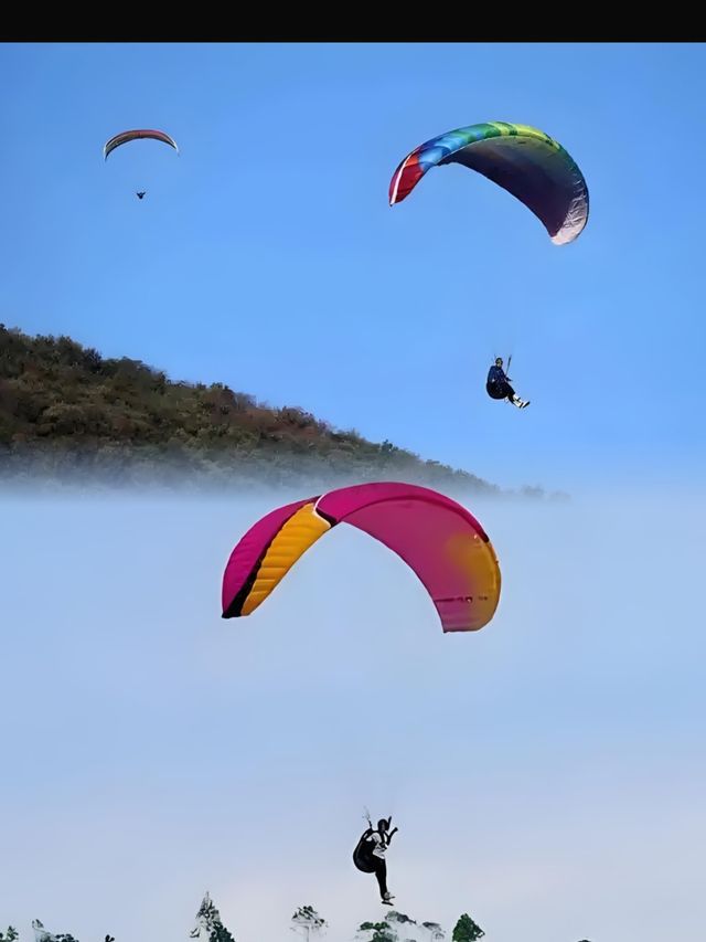 在日本沖繩縣海洋博公園，體驗超讚的滑翔傘玩法