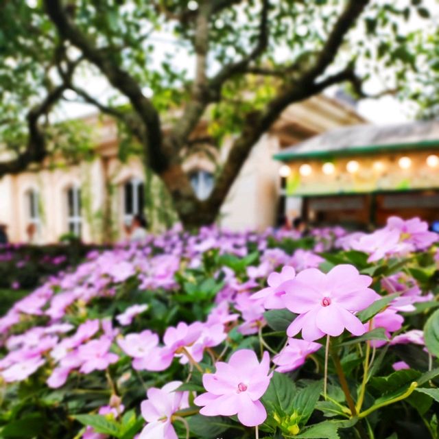 Georgeous Spots at Ba Na Hills