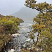  Cradle Mountain