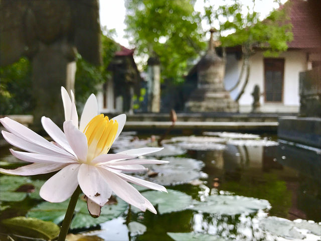 A deep connection to history and spirituality 🇮🇩