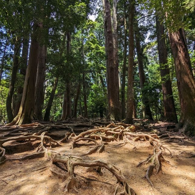 日本京都-享受深山古剎的悠閑寧靜：鞍馬寺