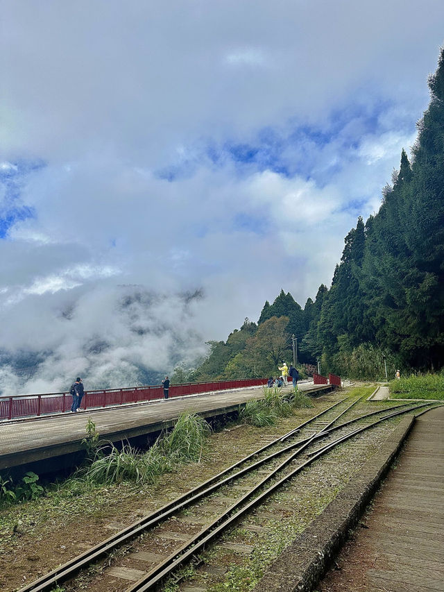 嘉義阿里山-二萬坪風景區