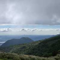 陽明山上最著名的當然是擎天崗大草原⛰️