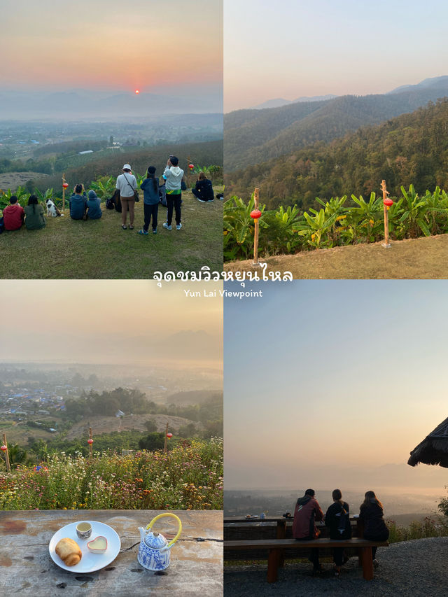 10 พิกัดเที่ยวแม่ฮ่องสอน | ฤดูหนาว 🏡⛰️🌼🌳