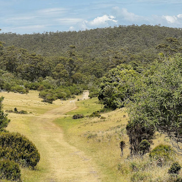 Exploring Maria Island National Park: A Journey Through Time and Nature