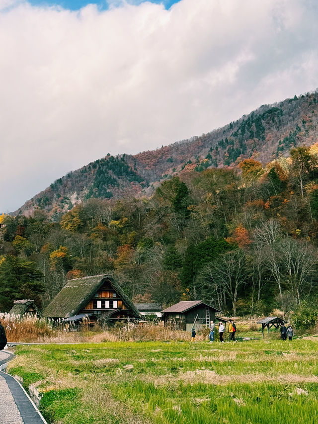 秋天下的白川鄉