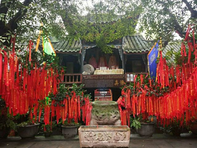 Into a Mystical Chinese Martial Sect at Qingcheng Mountain