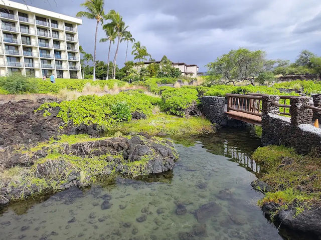 Waikoloa Beach Marriott Resort & Spa 夏威夷大島住宿推薦