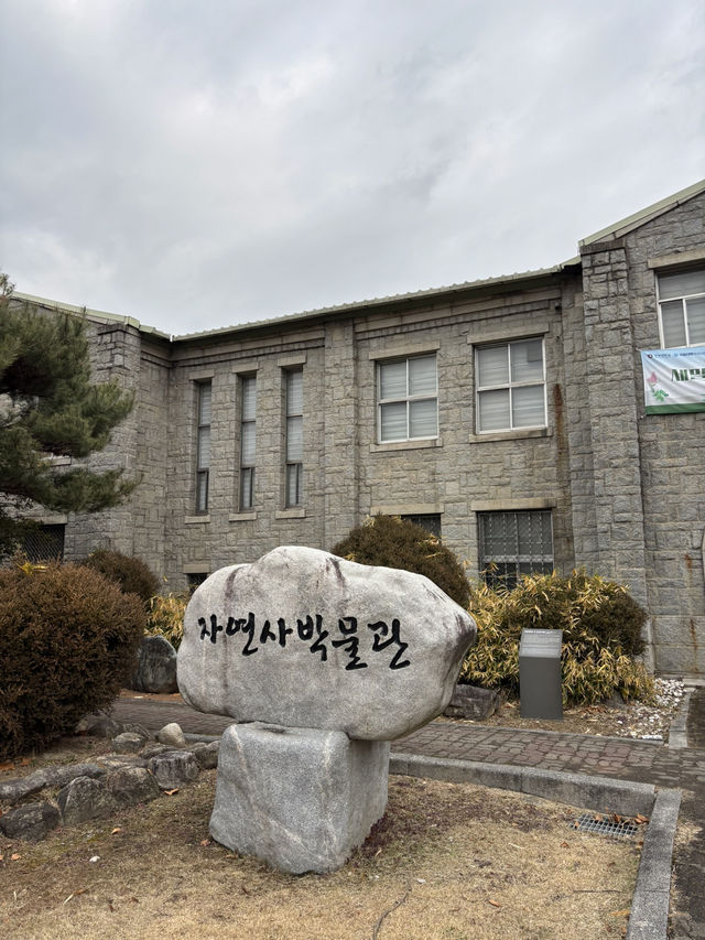 실제 천연기념물 모형을 구경할 수 있는 전북대💙