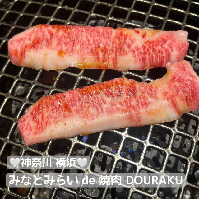 【食べ歩き】神奈川 横浜 みなとみらいde焼肉DOURAKU 様々なシーンで活用したい焼肉店