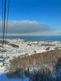  Otaru Tenguyama: A Panoramic View of Otaru