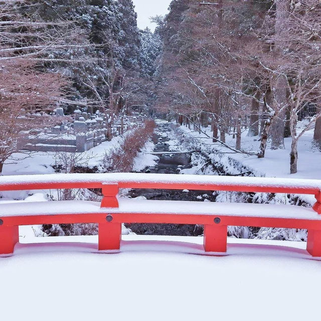 Koyasan #โคยะซัง 高野山 หน้าหนาว