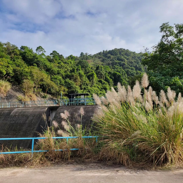 Traverse the Scenic Wonders of Nam Chung on the Wilson Trail