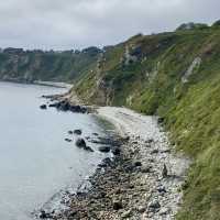 Cliffside Walk in Howth