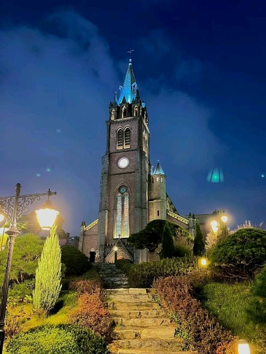 Myeongdong Cathedral Covered with Blossoms🌸