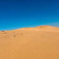 A Unique Desert Experience in Inner Mongolia