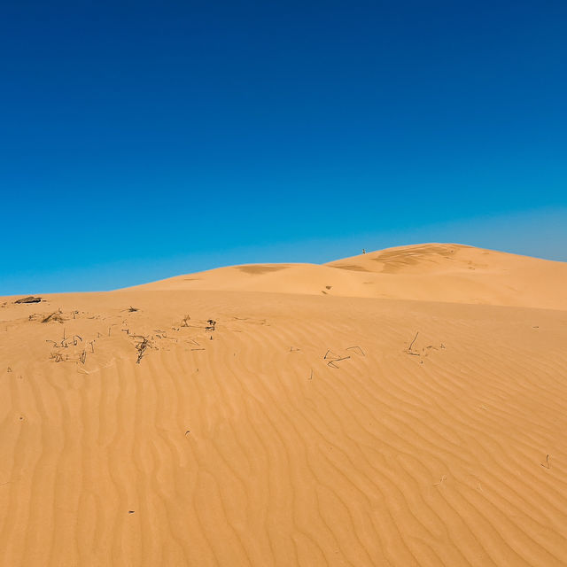 A Unique Desert Experience in Inner Mongolia