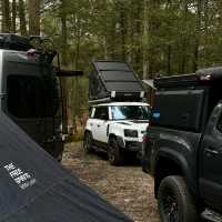 Camping with friends and outdoor activities 