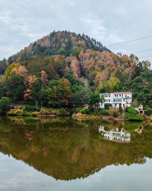 新安江山水畫廊