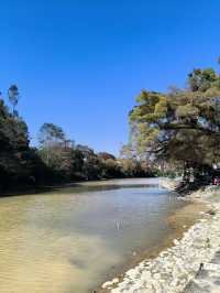 廈門-鼓浪嶼-福建土樓3日遊 超詳細攻略玩轉不走冤枉路