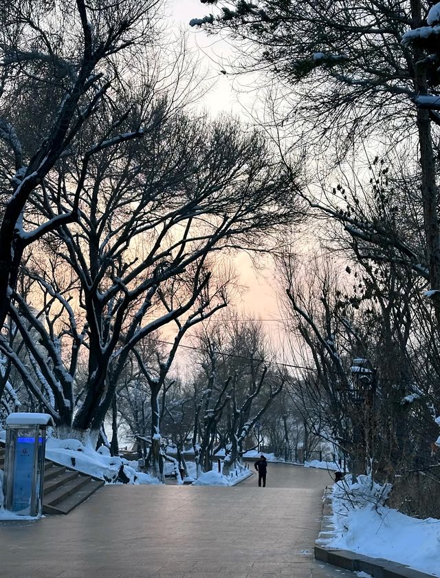 烏魯木齊紅山公園｜欣賞自然美景，感受人文底蘊的遊覽勝地