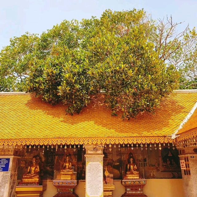 Amazing Wat Phra That Doi Suthep