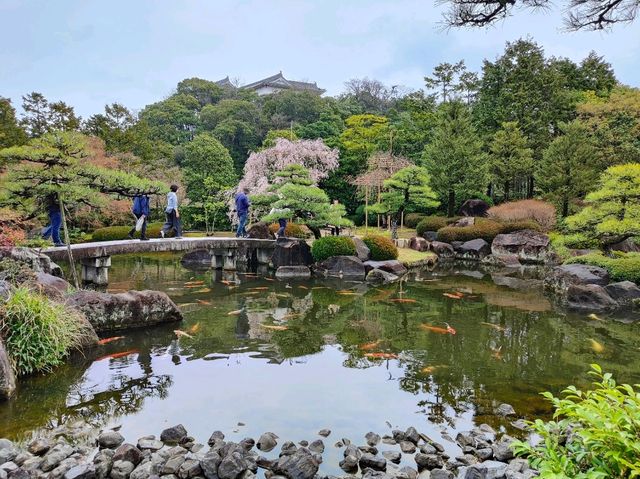 Himeji Castle and its Gardens 🏯