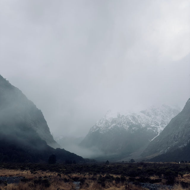 Milford Sounds