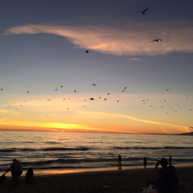 "Discovering Santa Monica: California’s Coastal Gem"