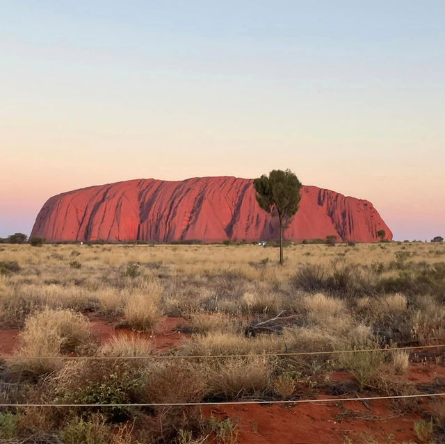 Uluru's Breathtaking Vista