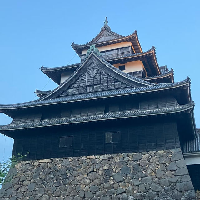 盛岡城：穿越時光日本城堡🌸🏯