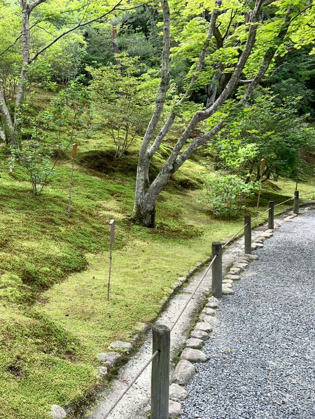 【京都】天龍寺