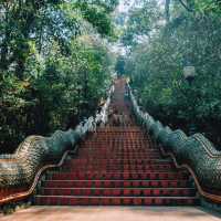 Ascending to Serenity: A Day at Wat Phra That Doi Suthep