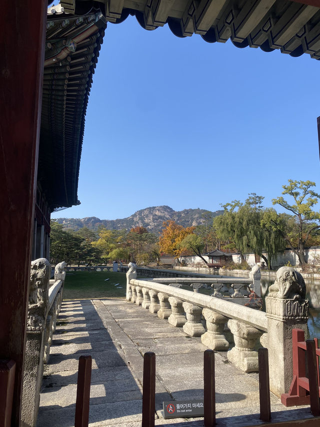  A Timeless Journey at Gyeongbokgung Palace, Seoul