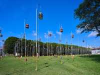 Birds telling your fortune in Singapore - Kebun Baru Birdsinging Club