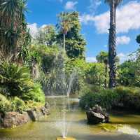 Green Oasis: Finding Peace at Williamstown Botanic Gardens