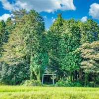 📍 Japanese Countryside Aesthetics , a paradise on earth..🇯🇵